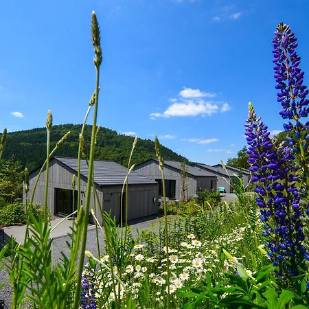 Sauerland Lodge - Haus Juliana Winterberg Exteriér fotografie