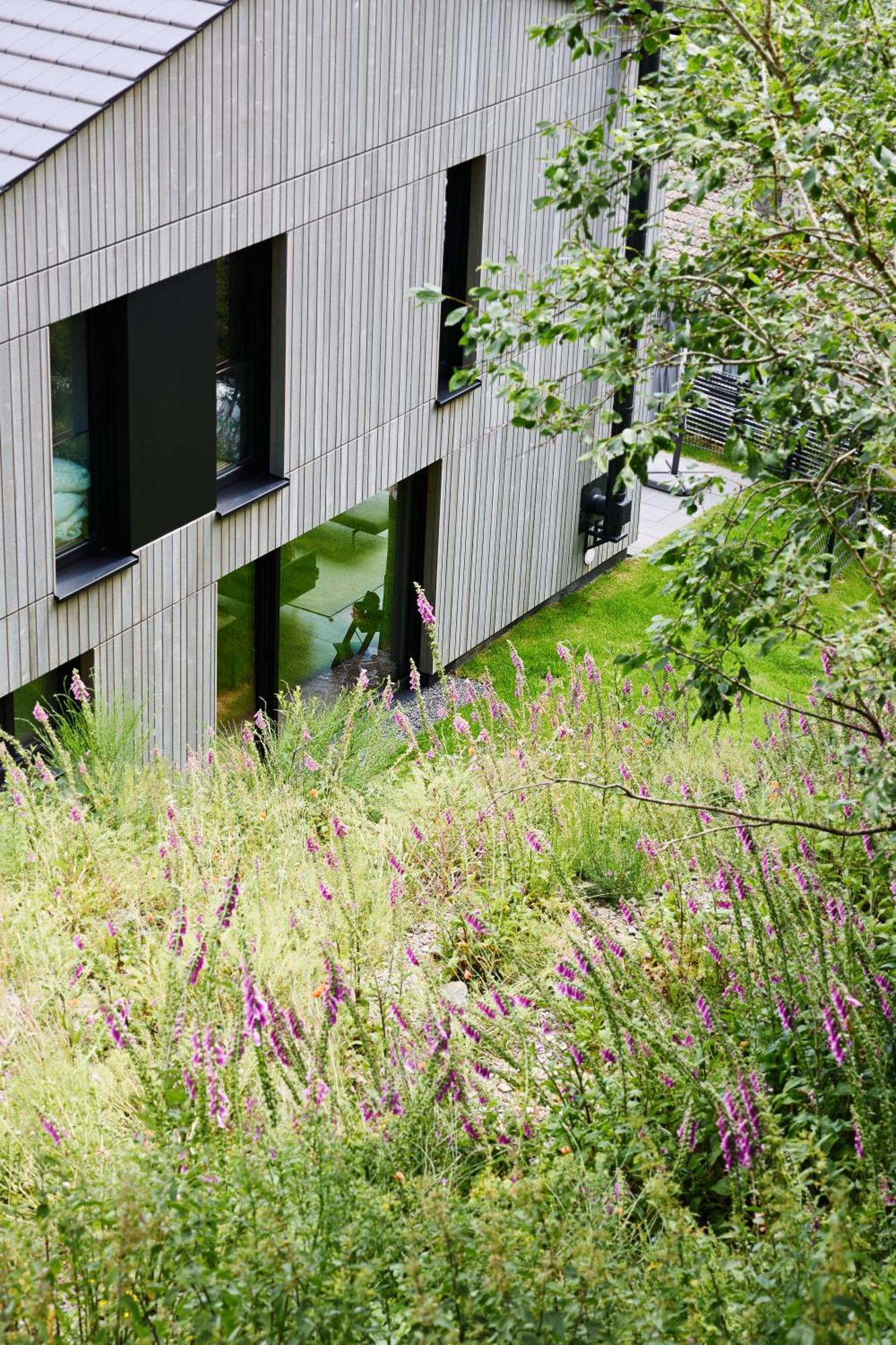 Sauerland Lodge - Haus Juliana Winterberg Exteriér fotografie