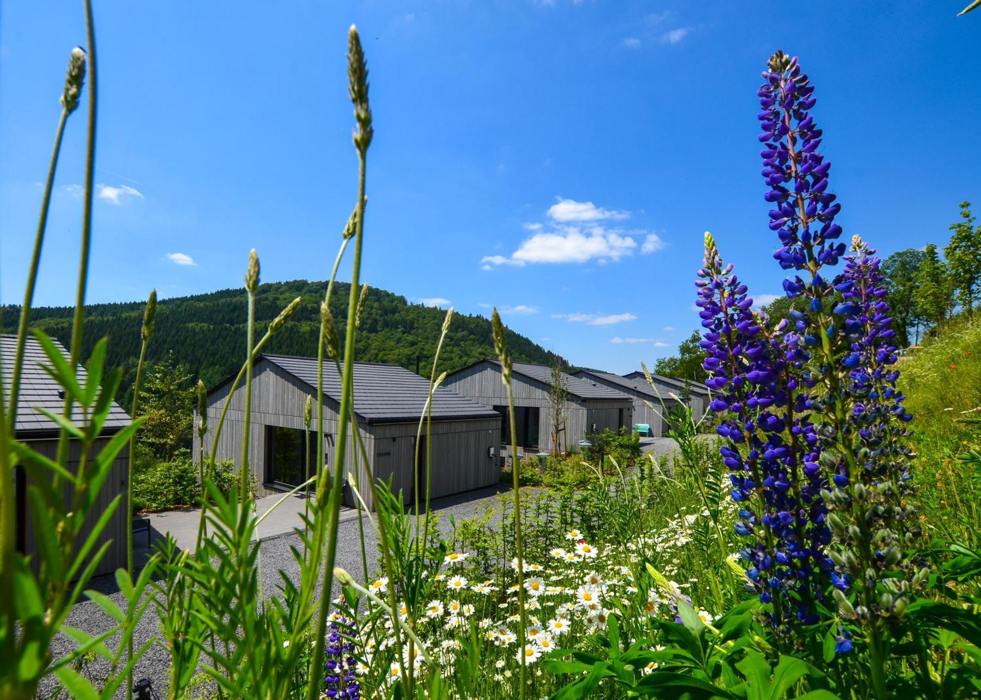 Sauerland Lodge - Haus Juliana Winterberg Exteriér fotografie
